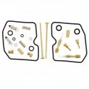 Vergaser Reparatursatz