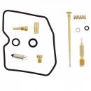 Vergaser Reparatursatz
