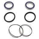 Radlager Satz Hinterrad komplett mit Simmerringen All Balls 25-1320