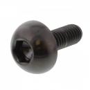 Bremsscheibenschraube hinten M6x1.00 17mm Titan schwarz