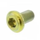 Bremsscheibenschraube hinten M8x1.00 13mm Titan gold