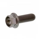 6 Kant Schraube M5x0.8 15mm Titan