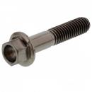 6 Kant Schraube M6x1.00 30mm Titan