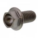 6 Kant Schraube M8x1.25 15mm Titan