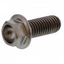 6 Kant Schraube M8x1.25 20mm Titan