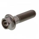 6 Kant Schraube M8x1.25 30mm Titan