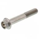 6 Kant Schraube M8x1.25 50mm Titan