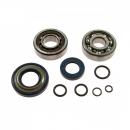 Kurbelwellenlager Satz