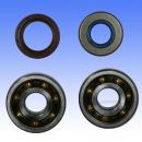 Kurbelwellenlager Satz