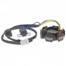 Lichtmaschine Stator 101 Octane