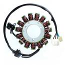 Lichtmaschine Stator