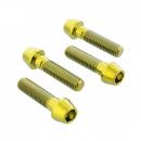 Bremssattelschraube Satz vorne Pro Bolt