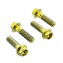 Bremssattelschraube Satz vorne Pro Bolt