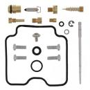 Vergaser Reparatursatz All Balls 26-1101