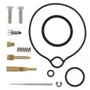 Vergaser Reparatursatz All Balls 26-1236