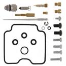 Vergaser Reparatursatz All Balls 26-1407