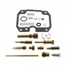 Vergaser Reparatursatz Tourmax Vollsatz