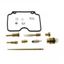 Vergaser Reparatursatz Tourmax Vollsatz