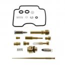 Vergaser Reparatursatz Tourmax Vollsatz