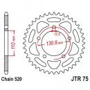 Kettenrad 44Z Teilung 520 Innendurchmesser 110 Lochkreis 131