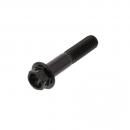 Schraube KLEMM Gabel Pro Bolt Edelstahl V4A Racing schwarz