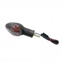 Blinkleuchte    hinten links