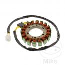 Lichtmaschine Stator