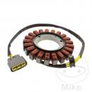 Lichtmaschine Stator