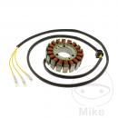 Lichtmaschine Stator