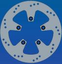 Bremsscheibe hinten BRAKING RF8153S