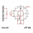 JT Ritzel 14Z Teilung 520